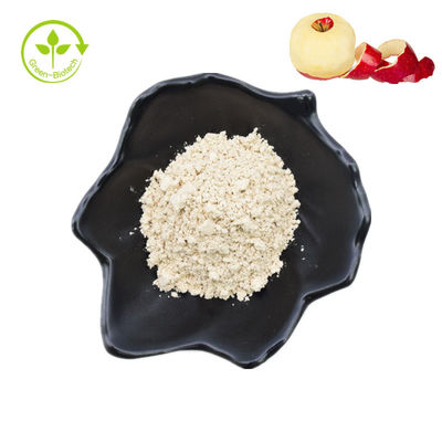 HPLC 천연 식물 애플사 인장은 98% 플로리진 파우더를 추출합니다