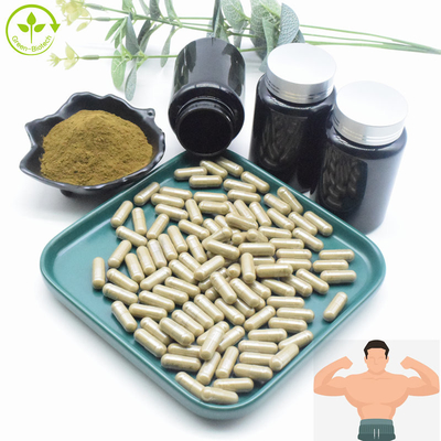 아주가 투르케스타니카는 도매 크기 2% 10% CAS 41451-87-0 터크에스테론 추출물 터크에스테론 파우더를 추출합니다