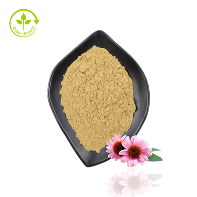 최상 Echinacea 추출물 Purpurea 유기 Echinacea 추출물 분말