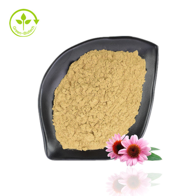 뜨거운 판매 Echinacea Purpurea 추출물 4%-6% 폴리페놀 2%-4% 자연적인 Echinacea 분말