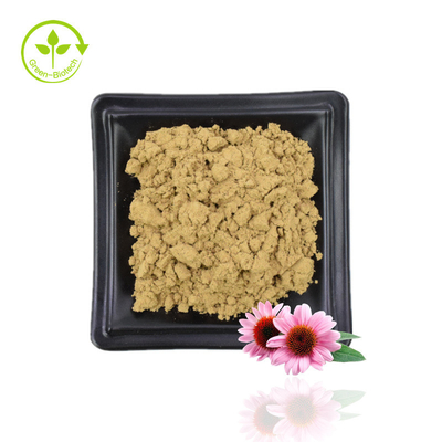 Echinacea Purpurea 추출물 Echinacea 추출물 천연 Echinacea Purpurea 꽃 추출물 4% 폴리페놀 공급
