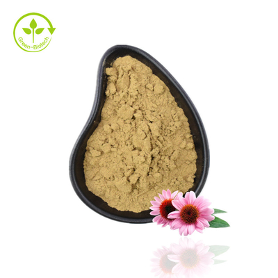 고품질을 가진 공장 공급 Echinacea 분말 Echinacea Purpurea 추출물 Echinacea 추출물