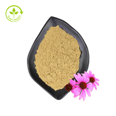 도매 공급 3% Chicoric Acid Echinacea Purpurea 꽃 추출물 Echinacea Purpurea 추출물