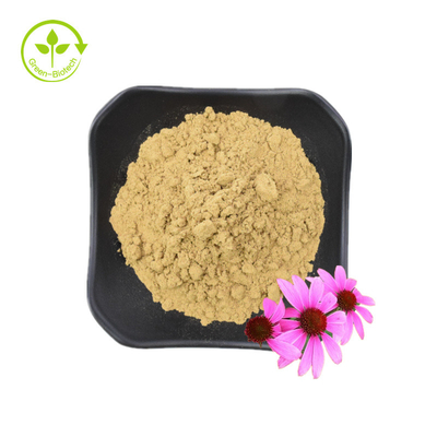 고품질 Echinacea Purpurea 뿌리 추출물 10% 폴리페놀 Echinacea Purpurea 추출물 Echinacea 추출물