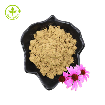순수한 4% Chicoric 산 Echinacea Purpurea 꽃 추출물 분말 Echinacea Purpurea 추출물