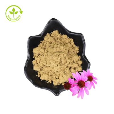 유기 폴리페놀에 의하여 말리는 분말 꽃씨 Echinacea Purpurea 추출물
