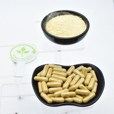 자연 야생 식물 건조 된 흰 Ginseng 뿌리 추출물 EU 품질 표준 Ginseng 뿌리