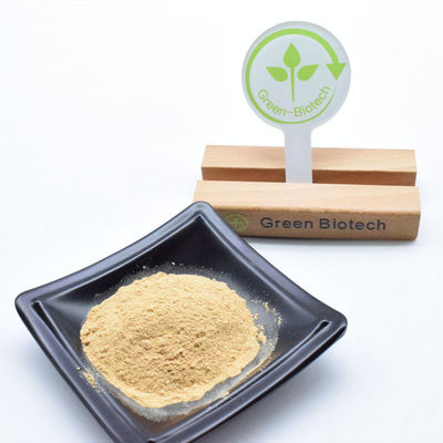 뜨거운 판매 사이아노티스 아라크노이드 뿌리 추출물 에크디손, 베타 에크디스테론 98%