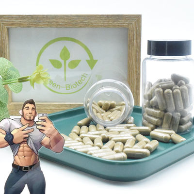 500 마그네슘 투르케스타니카 천연 식물 소재 추출물 터크에스테론 캡슐