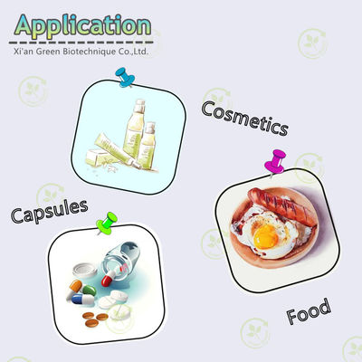 10% 98% 99% 식물 추출물 파우더 조효소 Q10 파우더 CAS 303-98-0