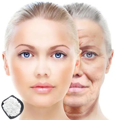 99% NMN 베타 니코틴아마이드 모노뉴클레오타이드 파우더 보충