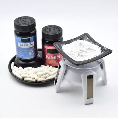 99% NMN 베타 니코틴아마이드 모노뉴클레오타이드 파우더 보충