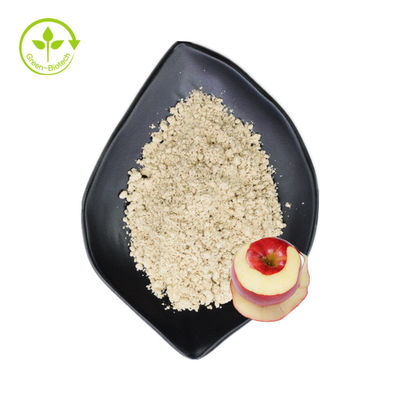 HPLC 천연 식물 애플사 인장은 98% 플로리진 파우더를 추출합니다