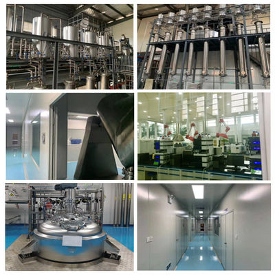 자연적 브로콜리 추출물 분말 설포라페인 글루코시놀레이트 글루코라파닌 1% 13% 20% 28%