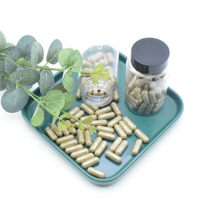 식물 추출물 아주가 투르케스타니카 추출물 분말 40% 500 mg/60caps/Bottle 터크에스테론 캡슐