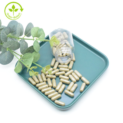 식물 추출물 아주가 투르케스타니카 추출물 분말 40% 500 mg/60caps/Bottle 터크에스테론 캡슐