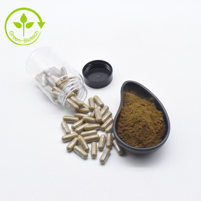 식물 추출물 아주가 투르케스타니카 추출물 분말 10% 500 mg/60caps/Bottle 터크에스테론 캡슐