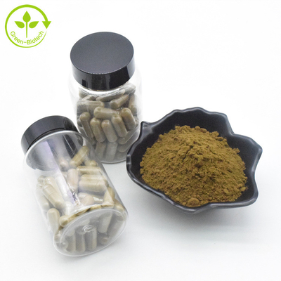 식물 추출물 아주가 투르케스타니카 추출물 분말 10% 500 mg/60caps/Bottle 터크에스테론 캡슐