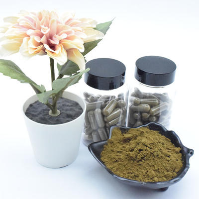 식물 추출물 아주가 투르케스타니카 추출물 분말 40% 500 mg/60caps/Bottle 터크에스테론 캡슐