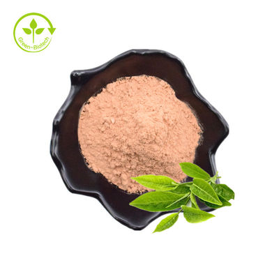 공장 도매 테아닌 파우더 l-테아닌 파우더 99% 그린 녹차는 아미노산 보충물을 추출합니다