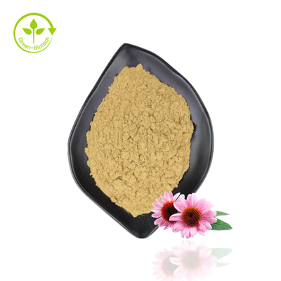 최상 Echinacea 추출물 Purpurea 유기 Echinacea 추출물 분말