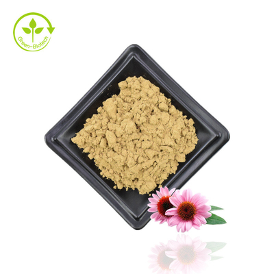 Echinacea Purpurea 추출물 Echinacea 추출물 천연 Echinacea Purpurea 꽃 추출물 4% 폴리페놀 공급