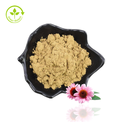 본래 제조자 공급 좋은 품질 음식 급료 Echinacea Purpurea 뿌리 추출물