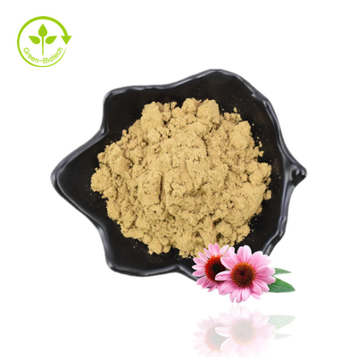 본래 제조자 공급 좋은 품질 음식 급료 Echinacea Purpurea 뿌리 추출물