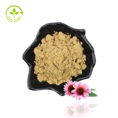 제조 공급 Echinacea Purpurea Chicoric Acid Echinacea Extract