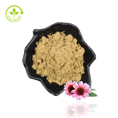제조 공급 Echinacea Purpurea Chicoric Acid Echinacea Extract