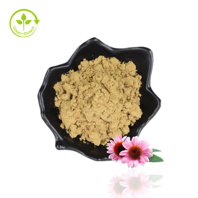 대량 4% 폴리페놀 Echinacea Purpurea 추출물 분말 자주색 Coneflower 추출물