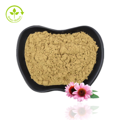 고품질을 가진 공장 공급 Echinacea 분말 Echinacea Purpurea 추출물 Echinacea 추출물