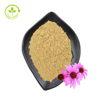 공장 공급 고품질 Echinacea Purpurea 추출물 Echinacea 추출물
