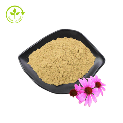 공장 공급 고품질 Echinacea Purpurea 추출물 Echinacea 추출물