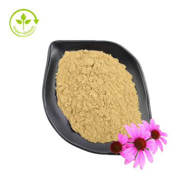 좋은 등급 Echinacea Purpurea 추출물 건강 보조 식품 Echinacea Purpurea 추출물 공급