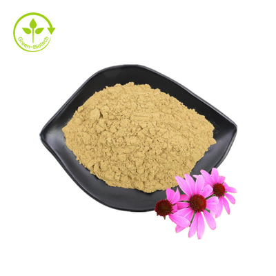 도매 공급 3% Chicoric Acid Echinacea Purpurea 꽃 추출물 Echinacea Purpurea 추출물