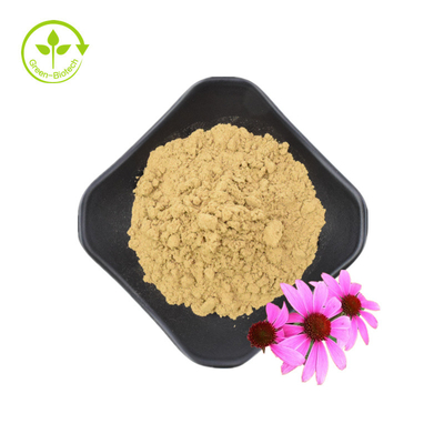 고품질 Echinacea Purpurea 뿌리 추출물 10% 폴리페놀 Echinacea Purpurea 추출물 Echinacea 추출물