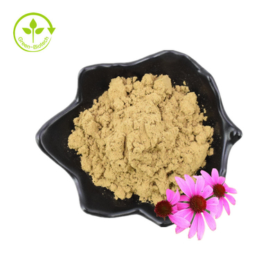순수한 4% Chicoric 산 Echinacea Purpurea 꽃 추출물 분말 Echinacea Purpurea 추출물