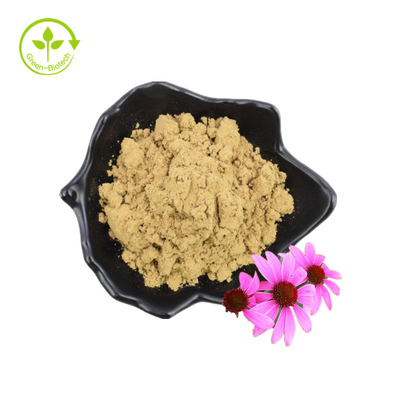 유기 폴리페놀에 의하여 말리는 분말 꽃씨 Echinacea Purpurea 추출물