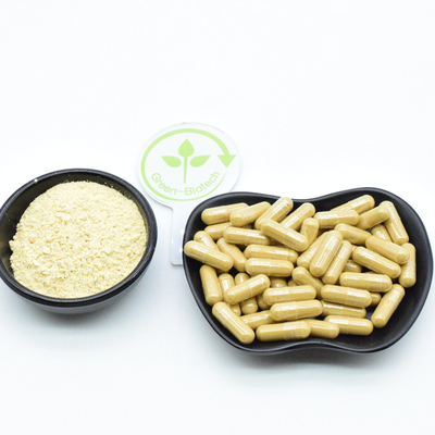 빨간 Ginseng 뿌리 추출 분말 80% Ginsenoside 분말 건강 관리 제품