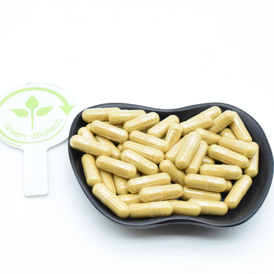 천연 파낙스 시베리아어 코리아어 레드 진센그 루트 추출물 10% 20% 80% 진센오사이드 분말