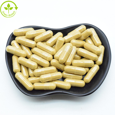 천연 파낙스 뿌리 추출물 한국 적색 겐세노사이드 분말 25kg/드럼