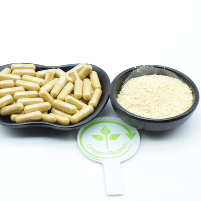 25kg/드럼 천연 식물 추출 Ginseng Root 추출 Ginsenosides