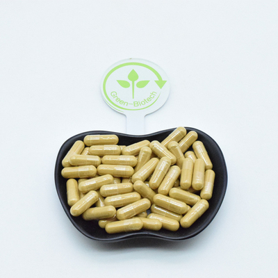 천연 Ginseng 뿌리 추출물 캡슐 파우더 음료 커피 차 씨앗 파낙스 Ginseng
