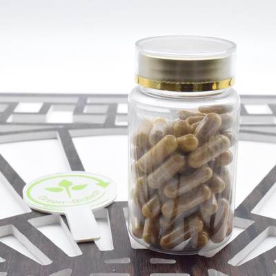 공장 공급 Ginseng 뿌리 분말 파낙스 Ginseng 추출물 20:1 Ginsenoside 80%