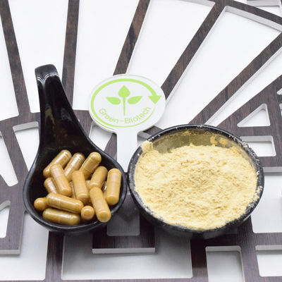 마른 붉은 Ginseng 뿌리 작은 슬라이스 전체 붉은 Ginseng 뿌리 8 년