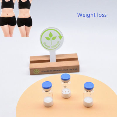 높은 순도 98% 티르제파티드 세마글루타이드 영국 시장에서 뜨거운 판매