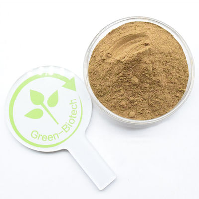 고품질의 순수한 자연 덩어리 추출물 덩어리 분말