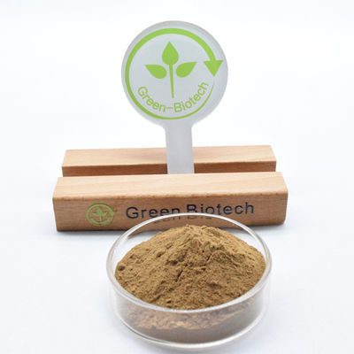 고품질의 순수한 자연 덩어리 추출물 덩어리 분말