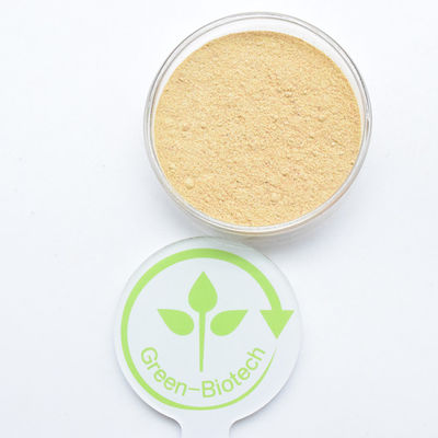 HPLC 90% 사이아노티스 아라크노이드 추출물 베타 에키디스테론 분말